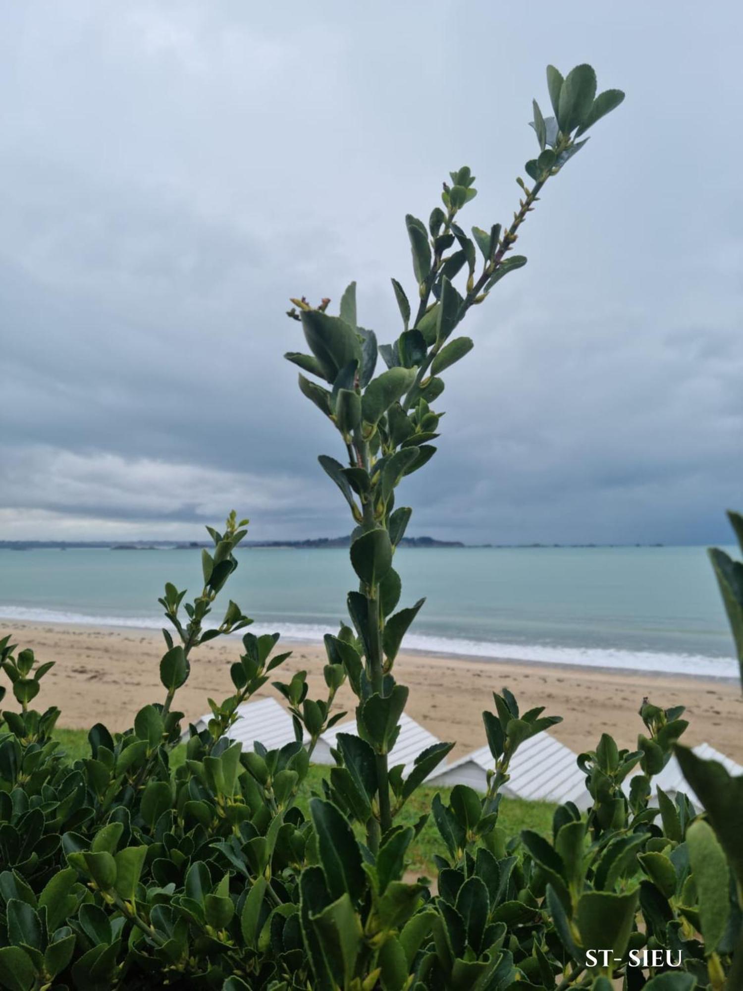 Brise Marine Du Prieure Spacieux Lumineux A 2 Min De La Plage Dinard Exterior foto